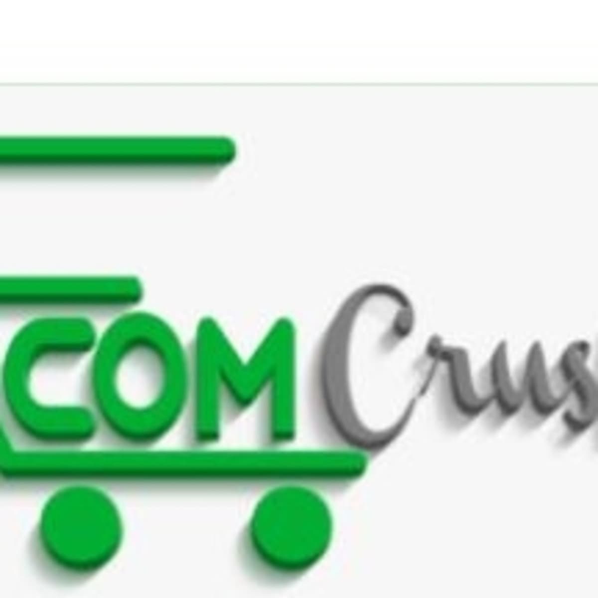 0. INTRO Y DROPSHIPPING SHOPIFY - SHOPIFY ECOM 2 cover