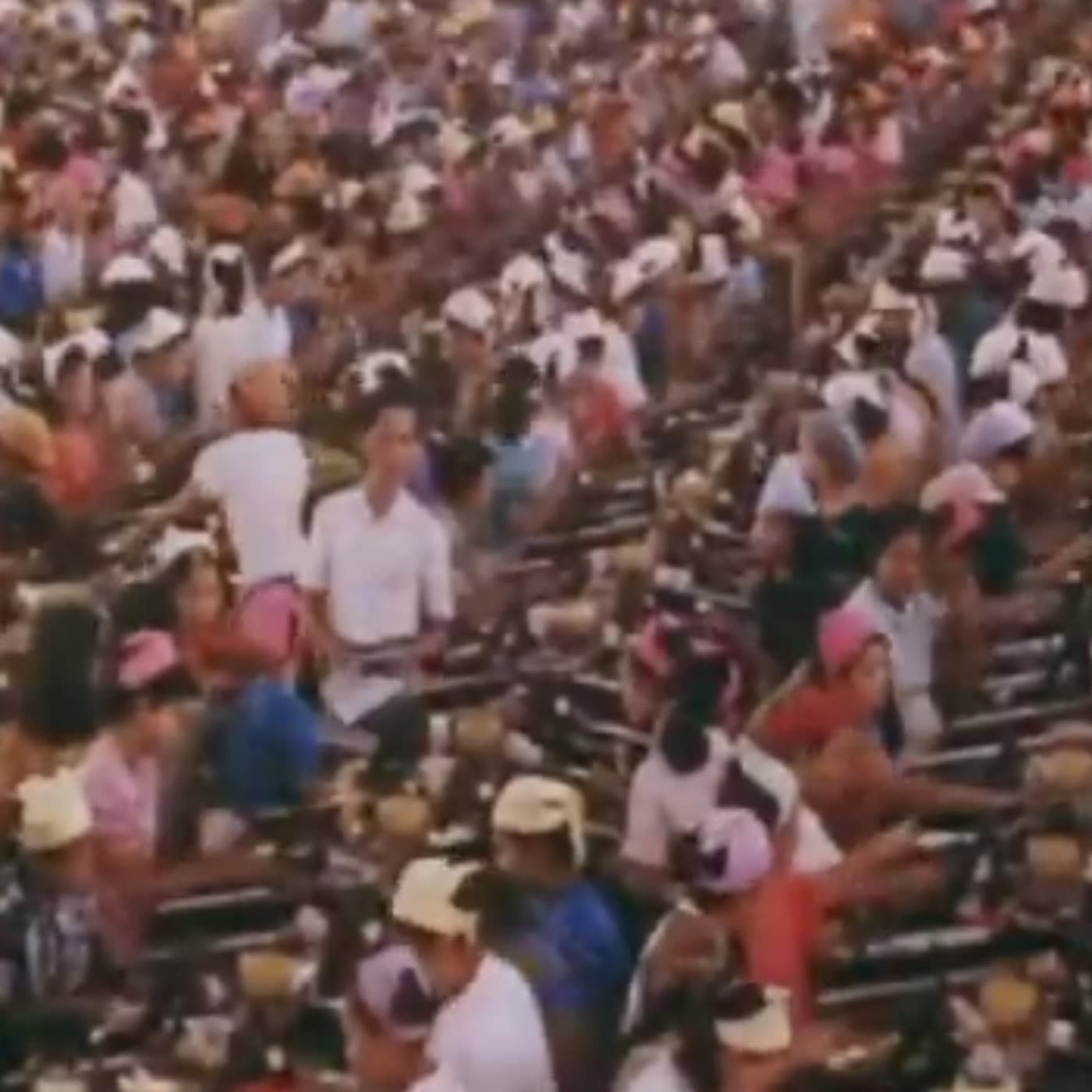 STM340-Todo es mentira - Surviving the Matrix - Max Igan en Español cover