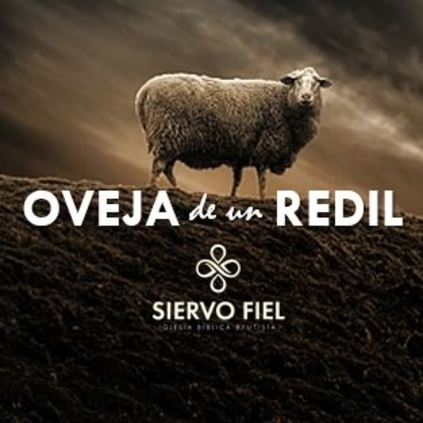 Oveja de un redil por Martín Maquivar - Abril cover