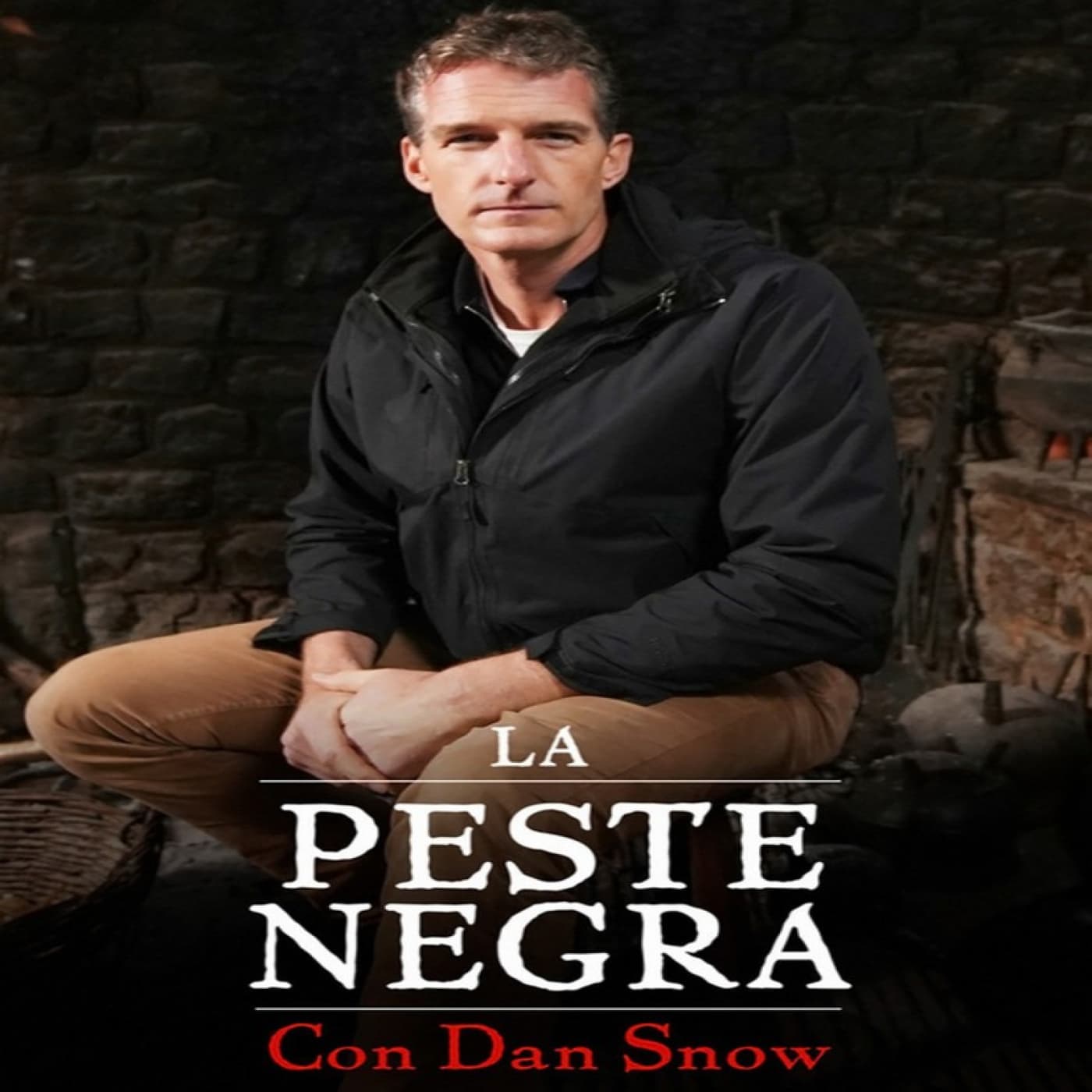La Peste Negra, con Dan Snow - Documentales Sonoros cover