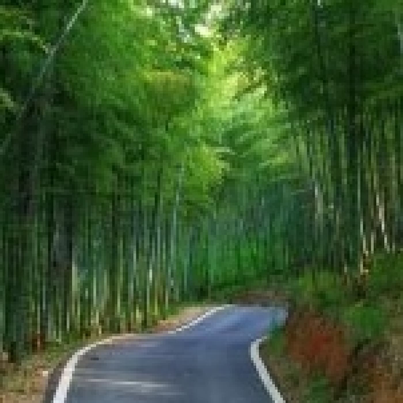 Con sentimiento y nobleza - Angel L. Perez cover