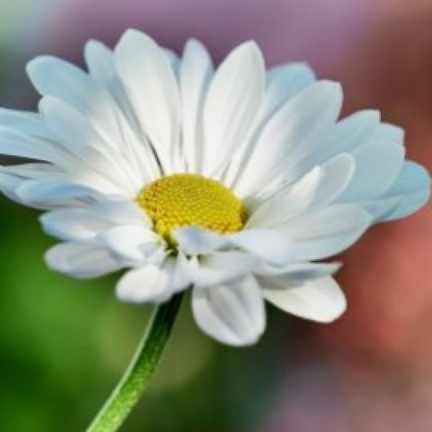 Entrégalo todo - Angel L. Perez cover