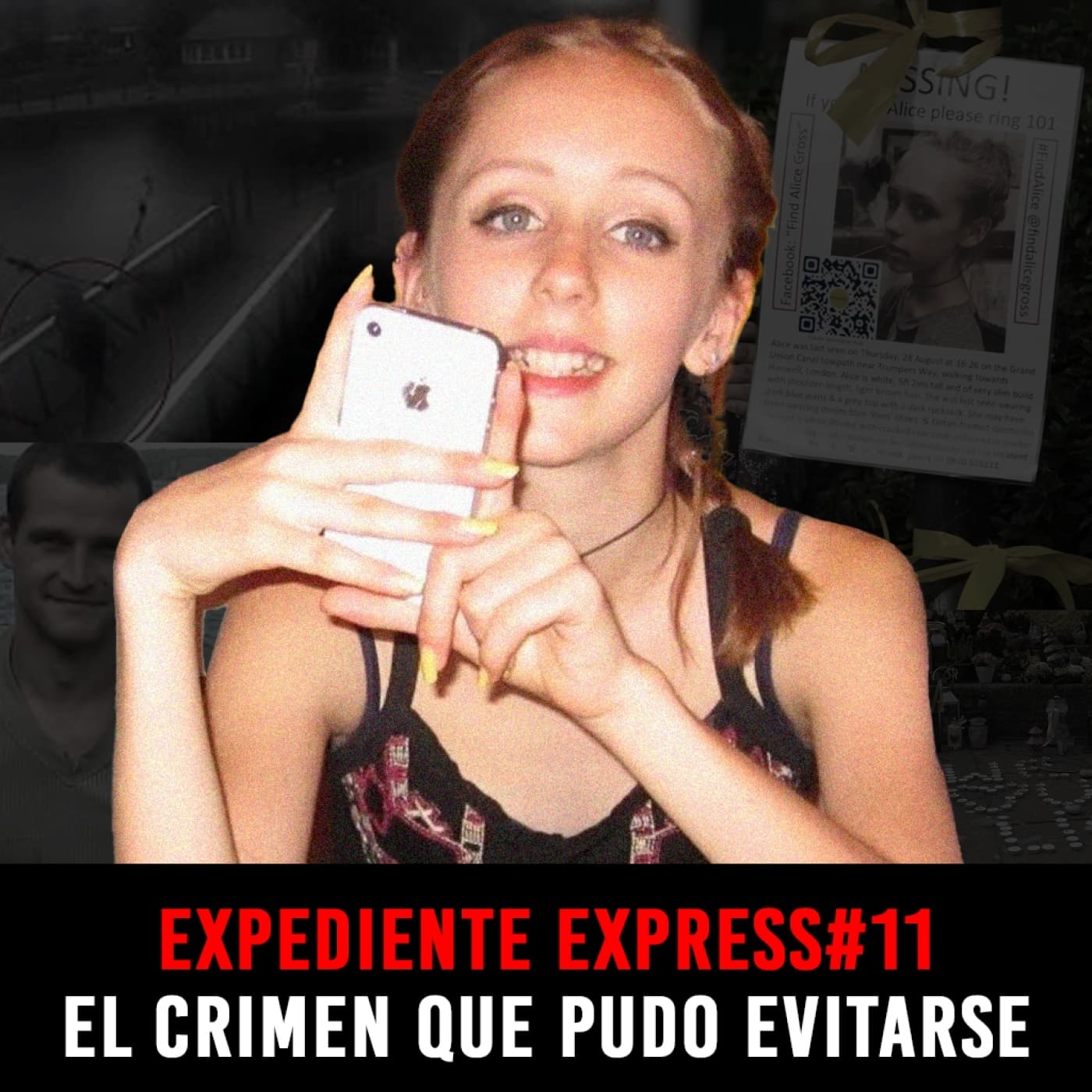 EXPEDIENTE EXPRESS #11: Alice Gross | El Crimen que Pudo Evitarse - INVESTIGADICTOS True Crime cover