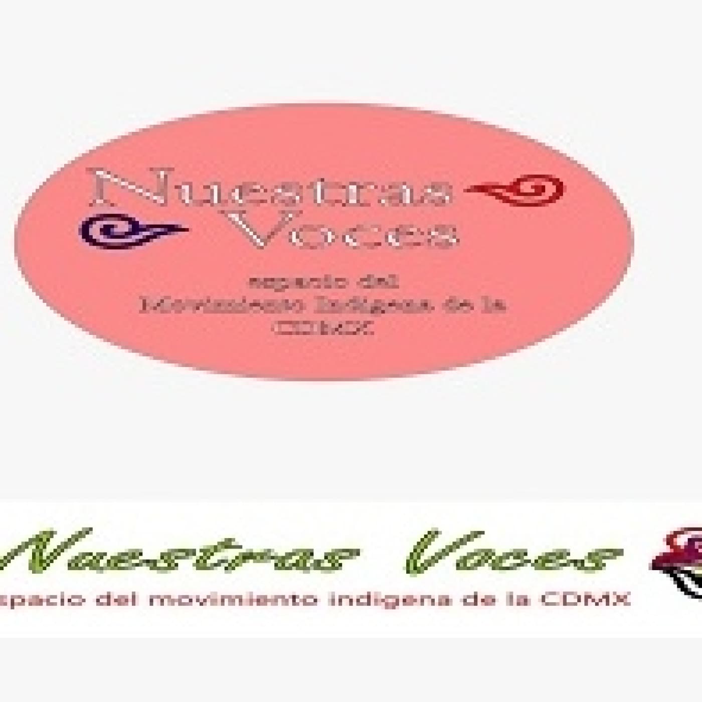 Nuestras Voces 18032026 p 390 - Proyecto Radio MX cover