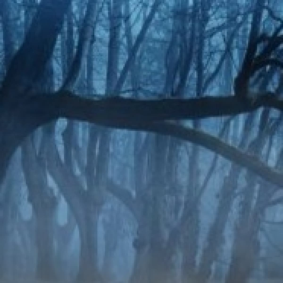 Aquella noche - Angel L. Perez cover