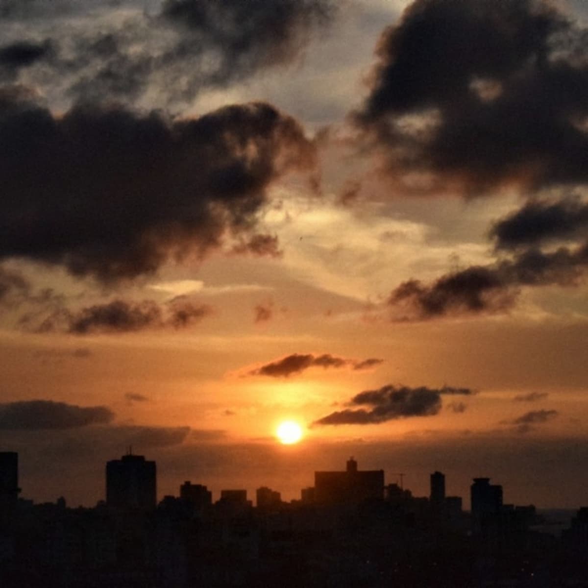 2. La Trinchera 15 - 22 de marzo 2020 - Primeras Lecturas cover