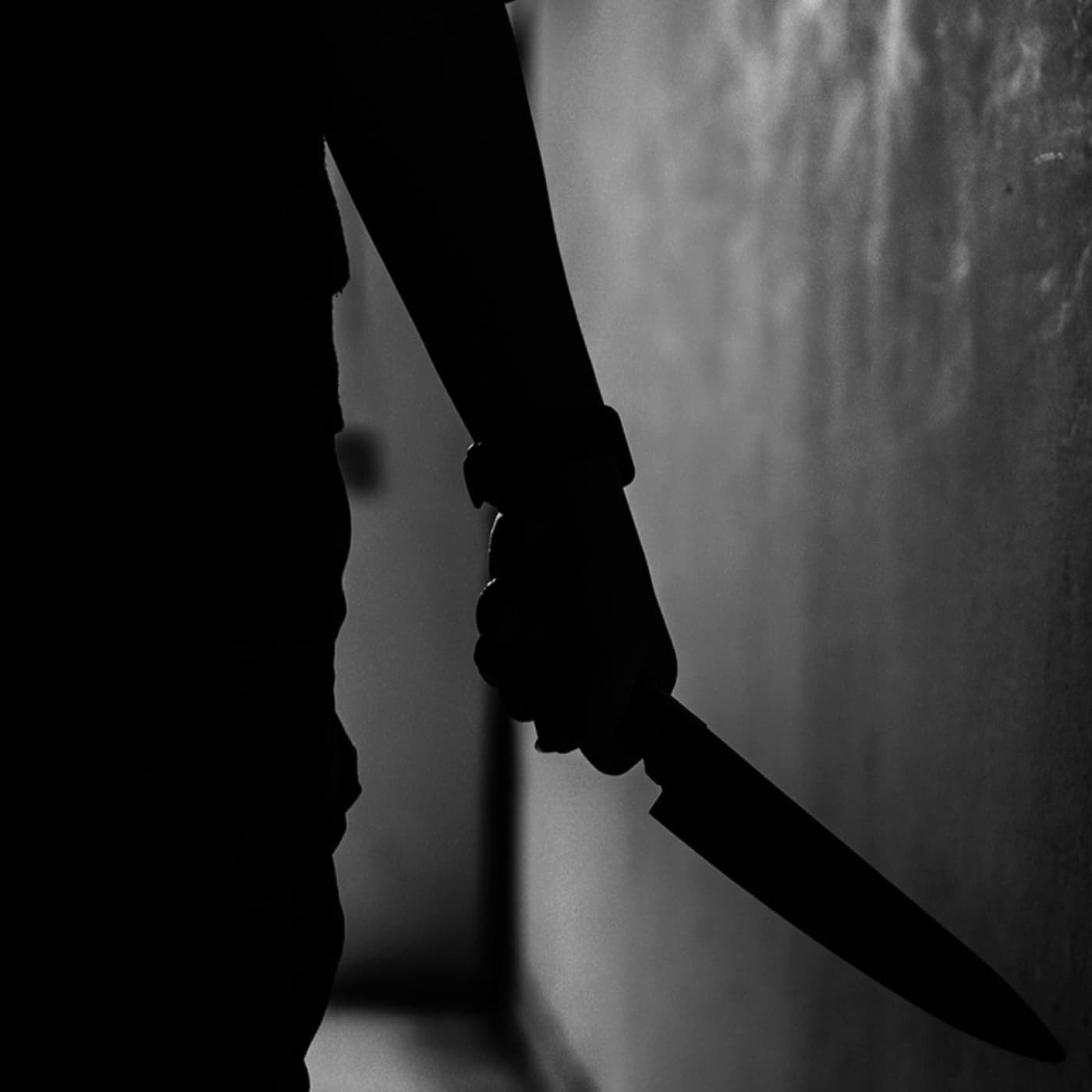 el crimen de pioz — LA NOCHE DEL MISTERIO cover