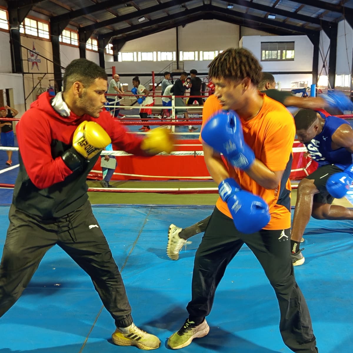 Campeón olímpico buscará la revancha en Santo Domingo - Radio Rebelde cover