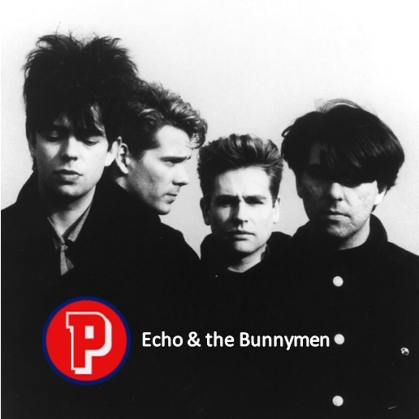 Música de Selección: Echo & the Bunnymen - Música de Selección cover