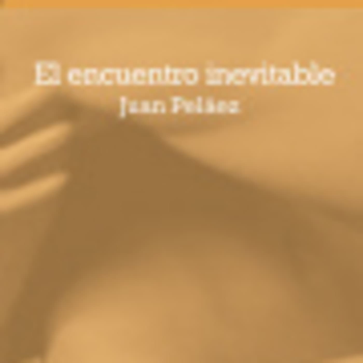 1. lectura del primer capitulo de la novela el encuentro inevitable de Juan Peláez — Juan Peláez cover