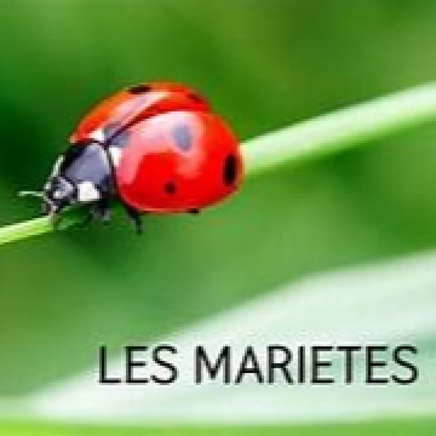 LES MARIETES A INFANTIL — Tania Ribera Pérez cover