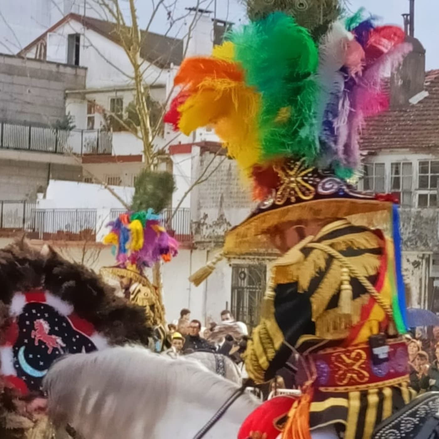  O Entroido de San Xulián de Sales, dende dentro - Salta da Cama cover