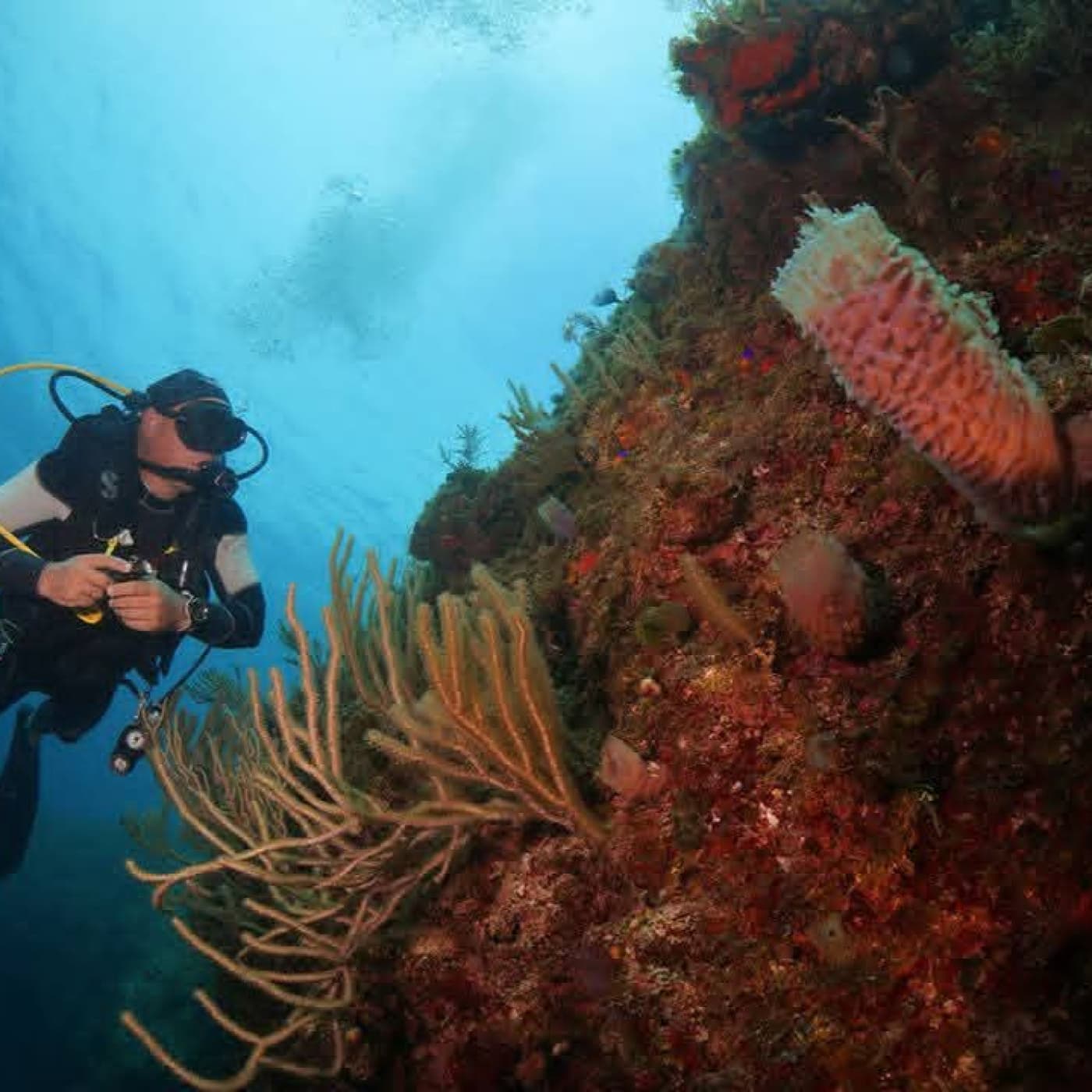 Gestión climática y resiliencia en la costa norte villaclareña — Radio Rebelde cover