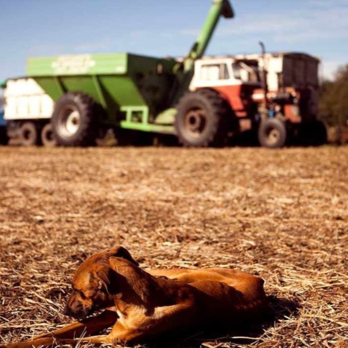 Historias Libertarias- Programa 22 - Historias Libertarias cover