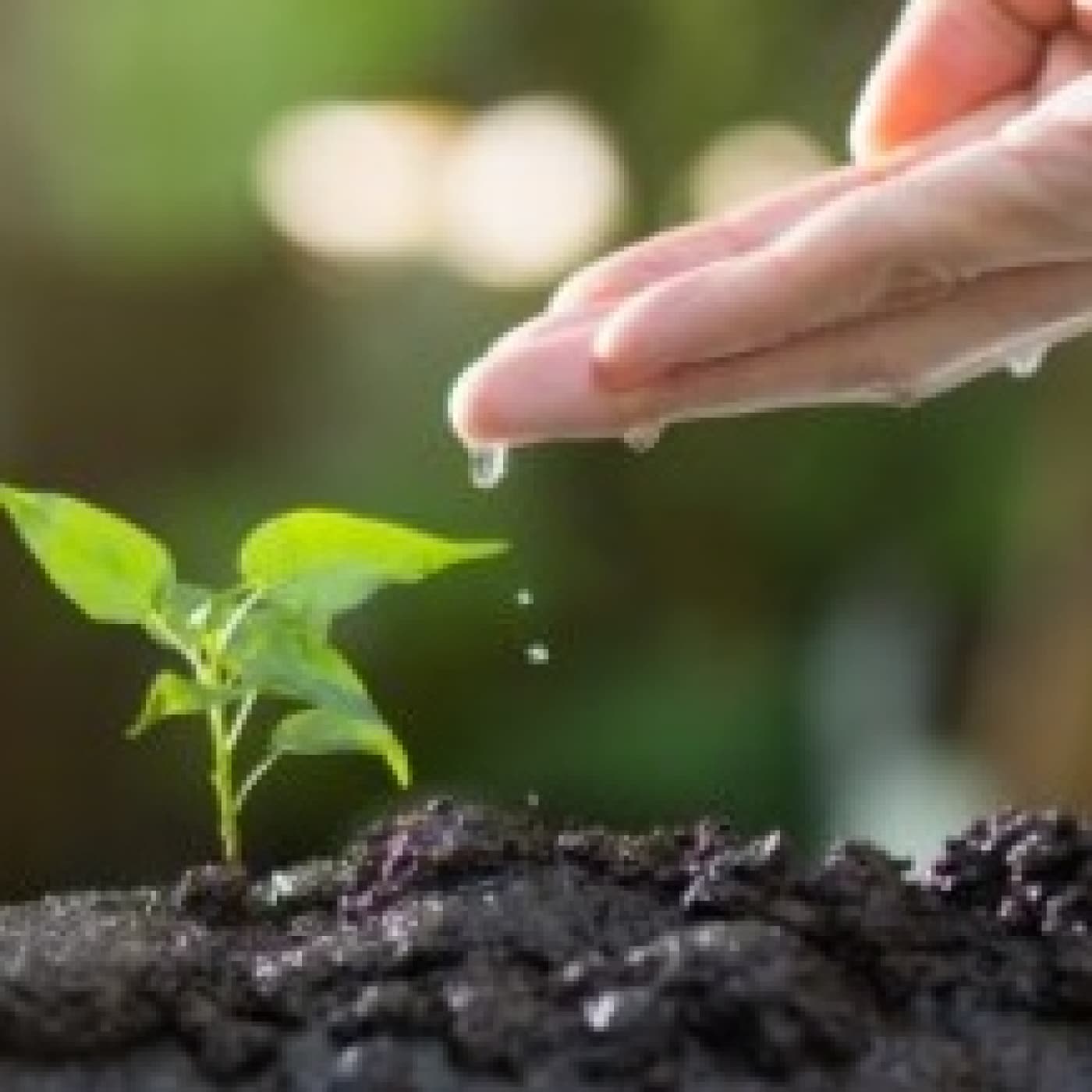 Siembra... - Angel L. Perez cover