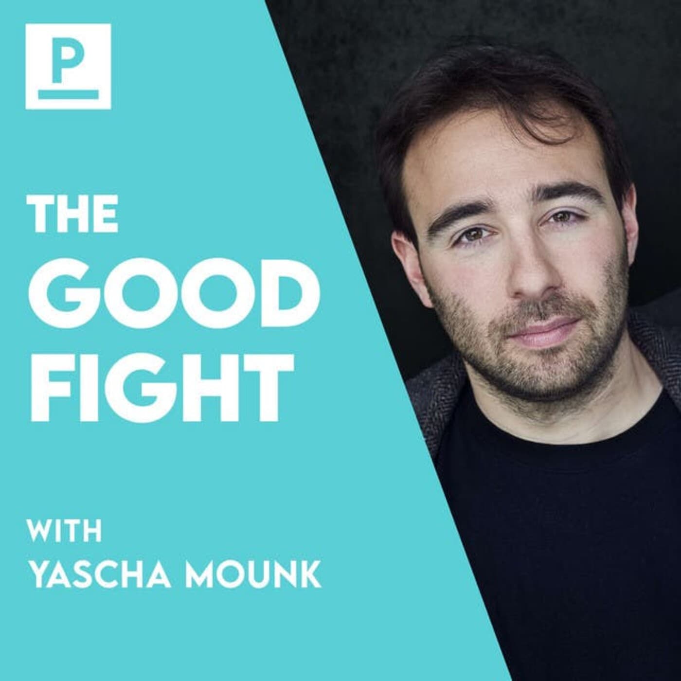 Peter Hessler on China - The Good Fight cover