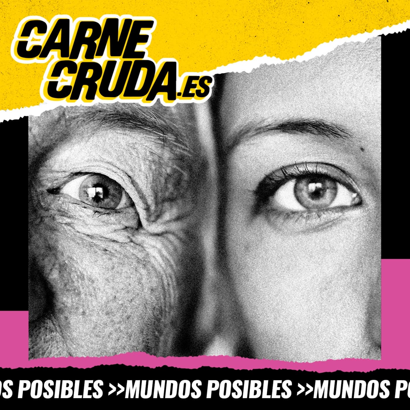En busca de la vida eterna: la ciencia de la longevidad (CARNE CRUDA #1658) - Carne Cruda - PROGRAMAS cover