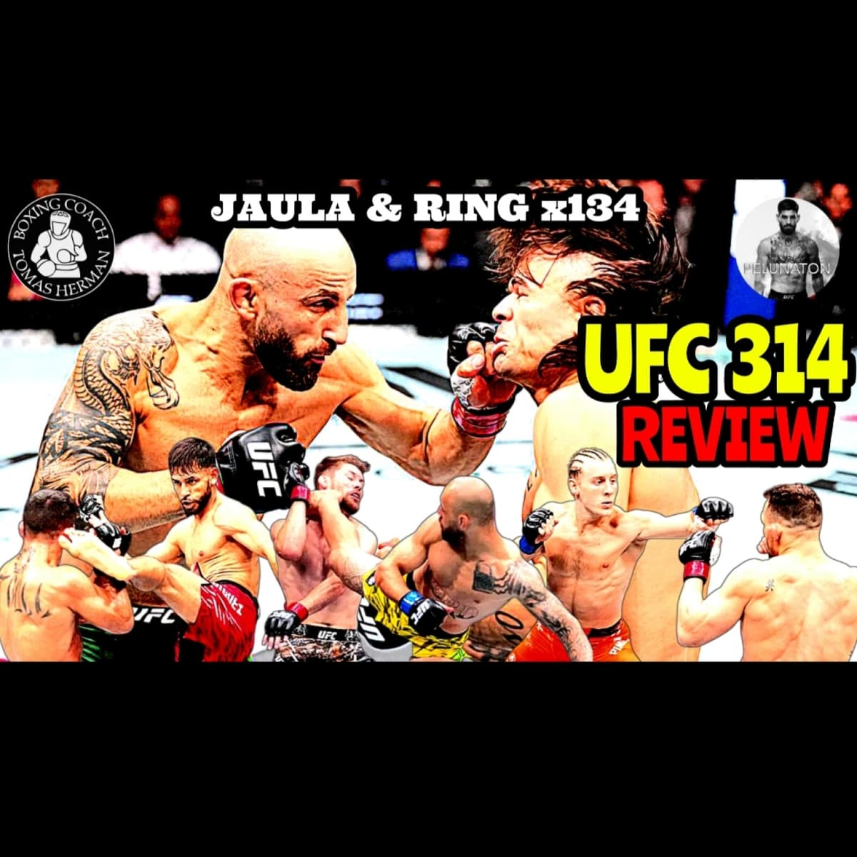 UFC 314 Review - Tomás Hermán cover