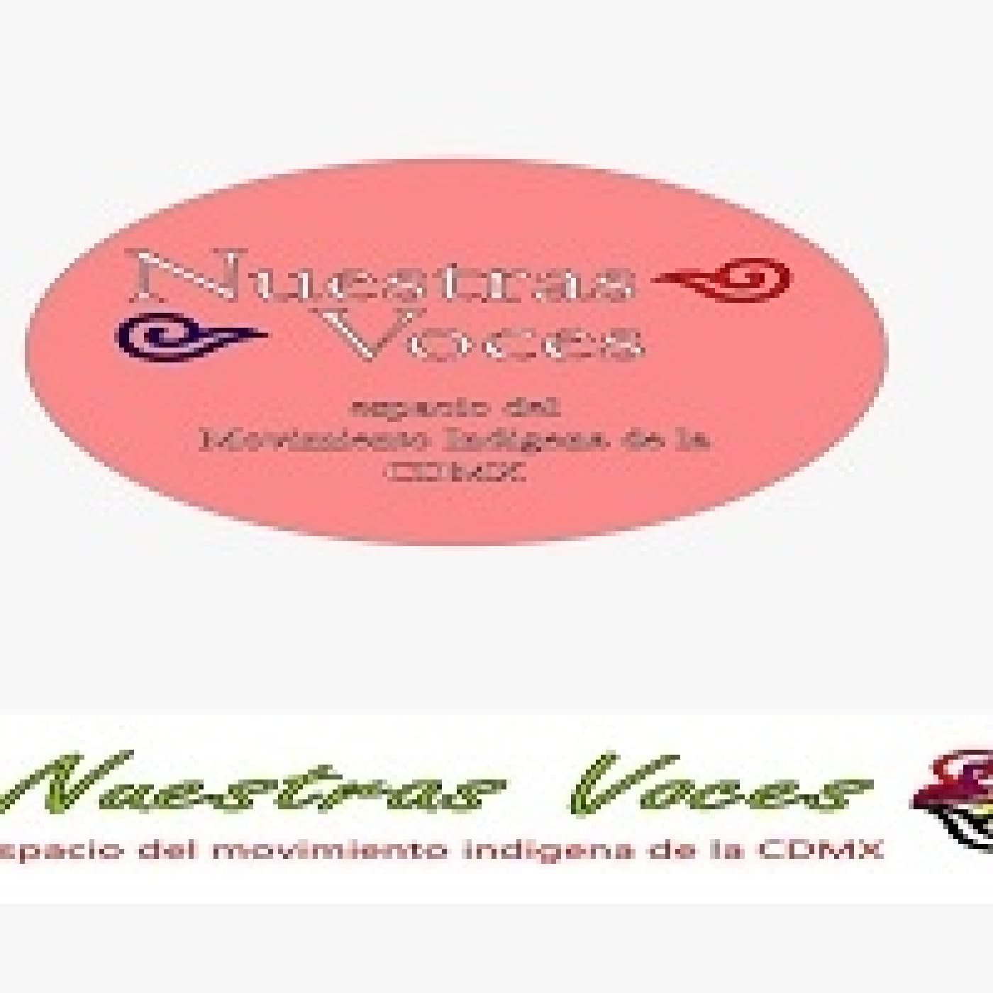 Nuestras Voces 29042026 p 396 - Proyecto Radio MX cover