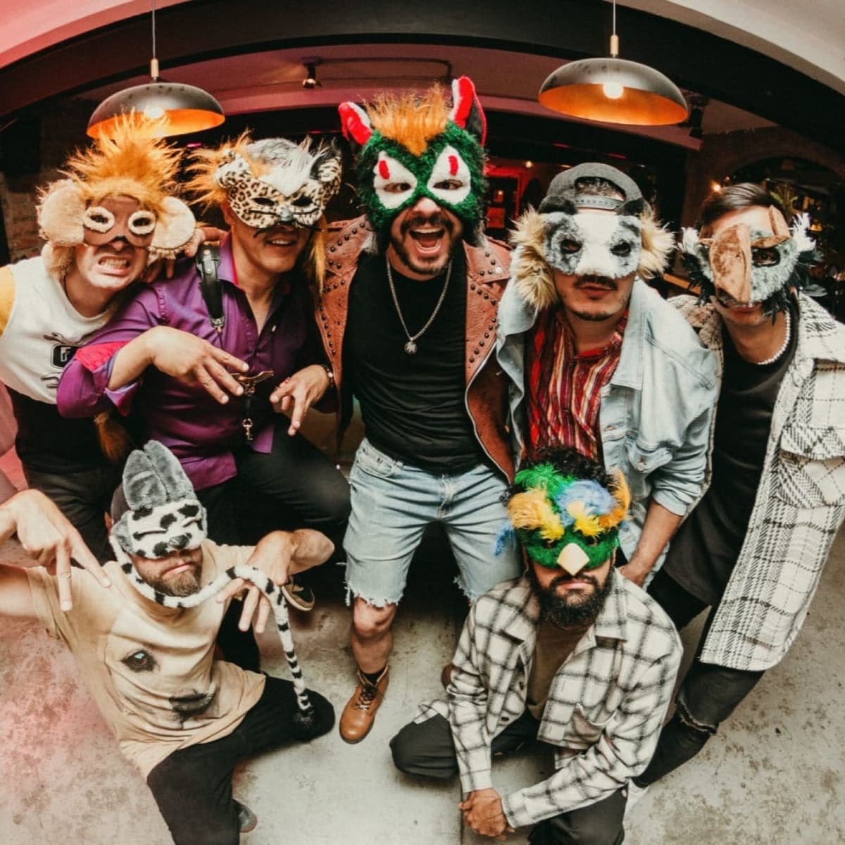 Animal De Monte - La Vitrola cover