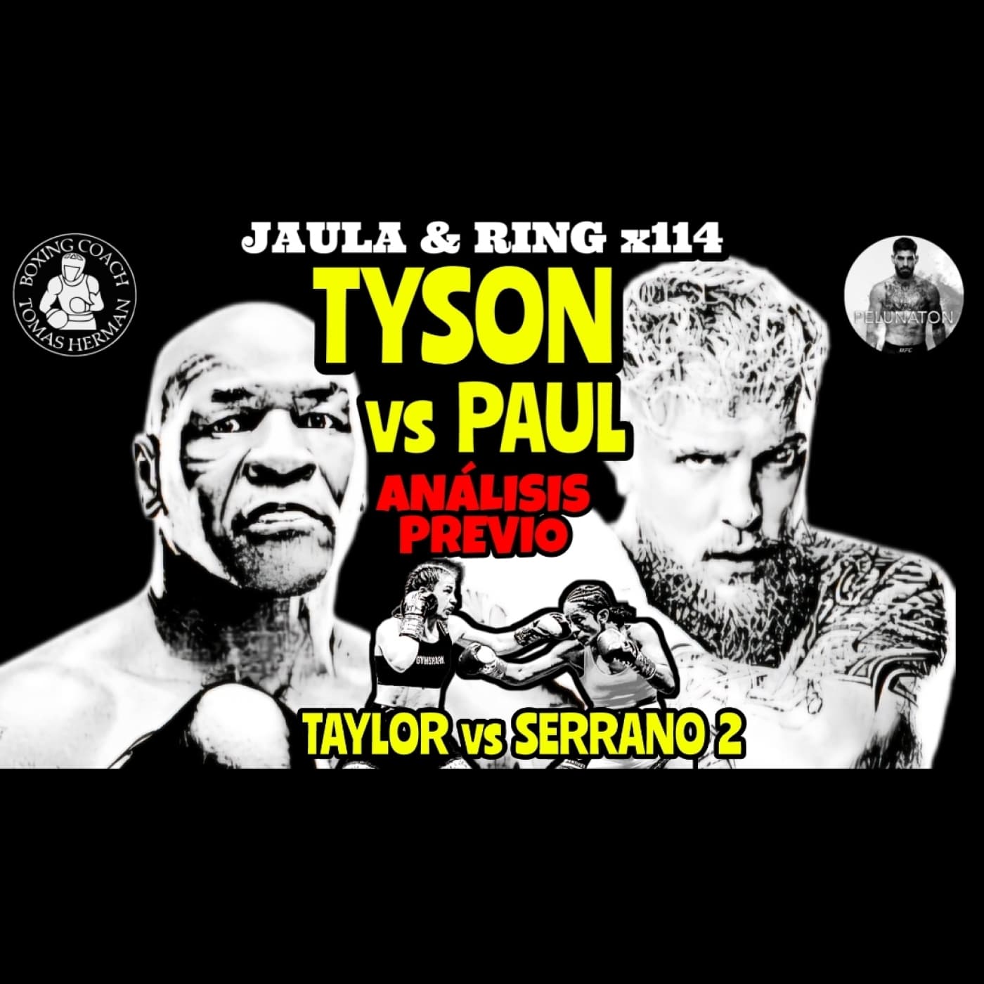 TYSON vs PAUL | TAYLOR vs SERRANO 2 | Previas - Tomás Hermán cover