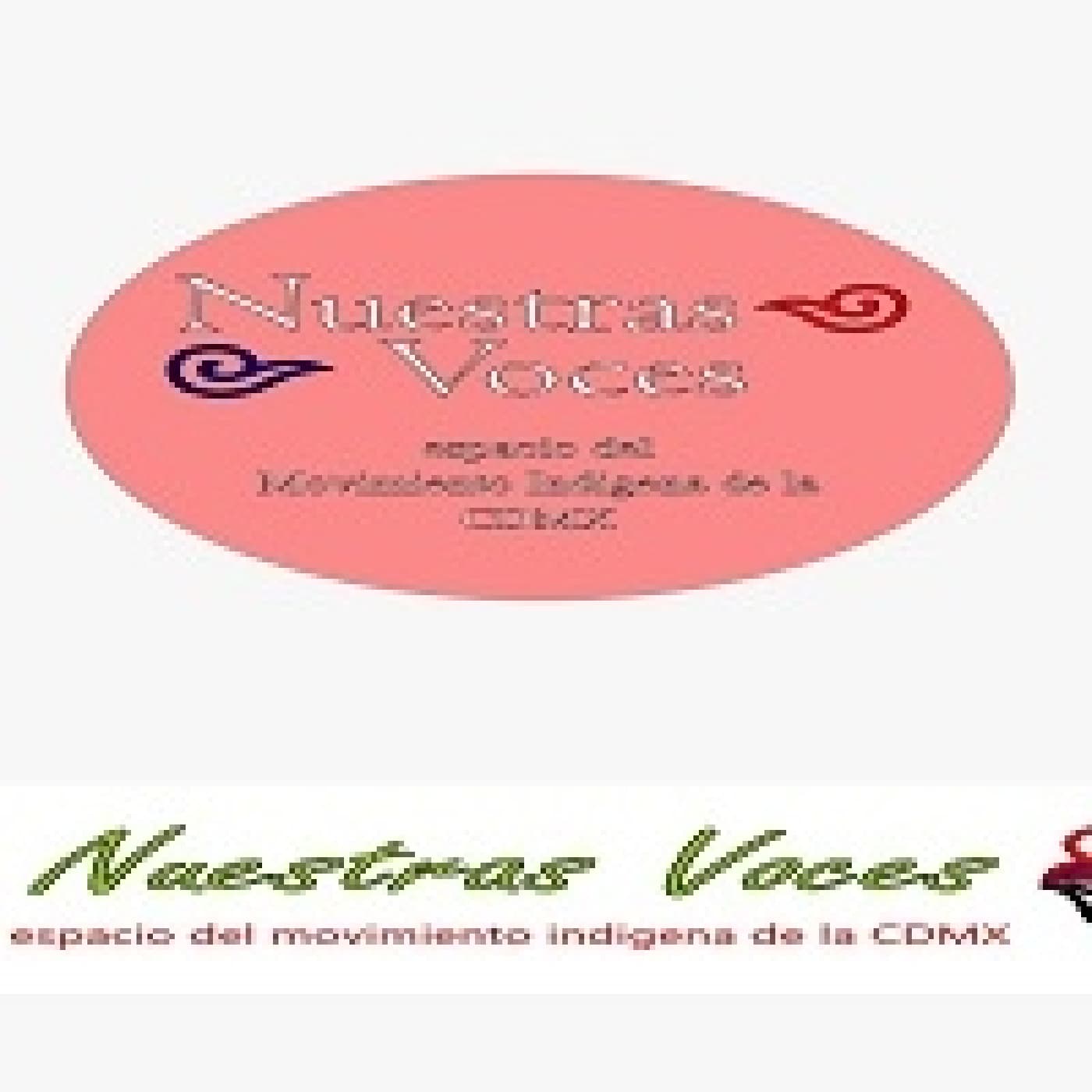 Nuestras Voces 06042026 p 393 - Proyecto Radio MX cover