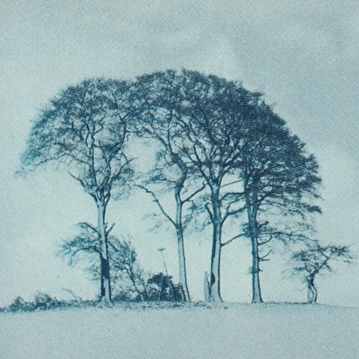 Vericuetos 653 - Vericuetos cover