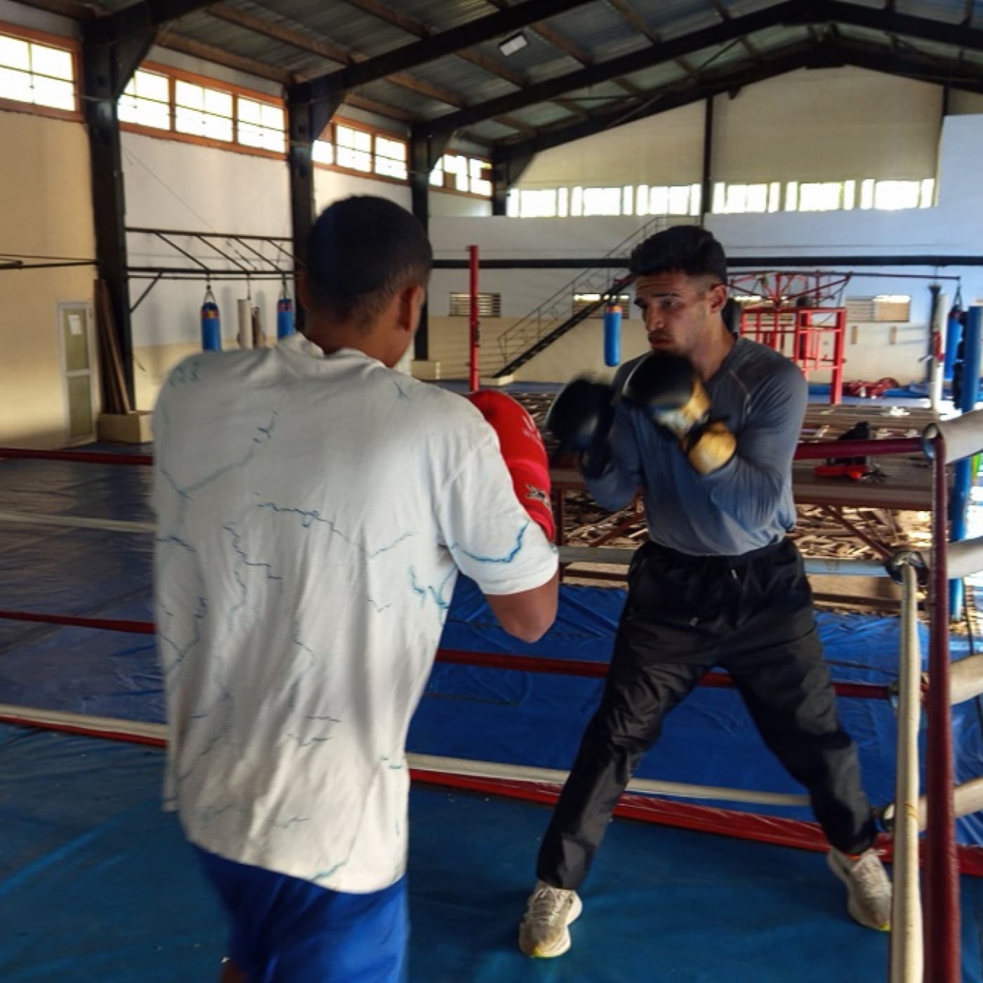 Saidel Horta: “Este es mi ciclo” - Radio Rebelde cover