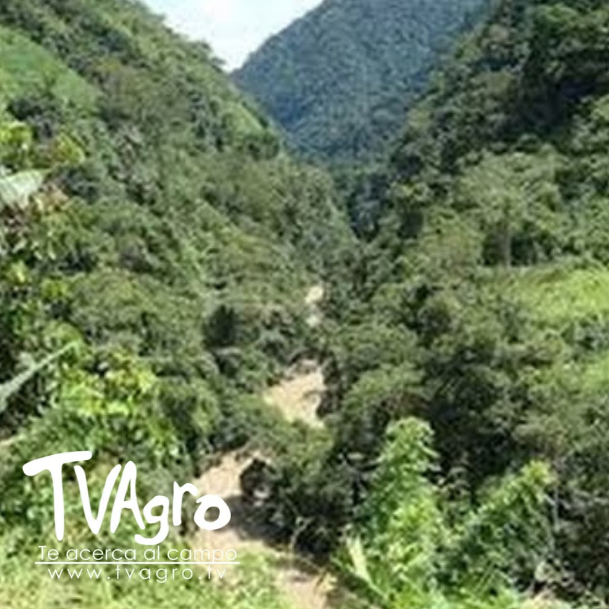 Recorrido Por el Municipio de Dabeiba - Antioquia - TvAgro por Juan Gonzalo Angel - TV AGRO cover