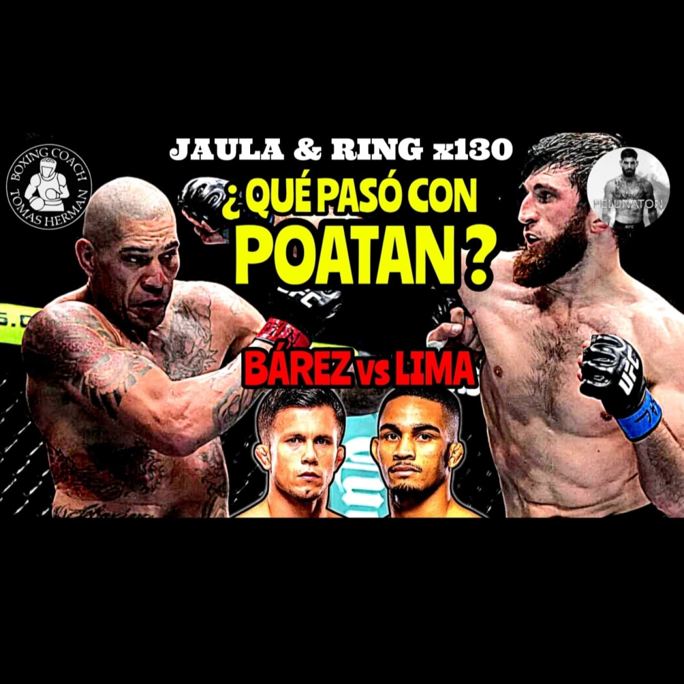 UFC 313 Review | Dani Bárez vs Andre Lima Previa - Tomás Hermán cover