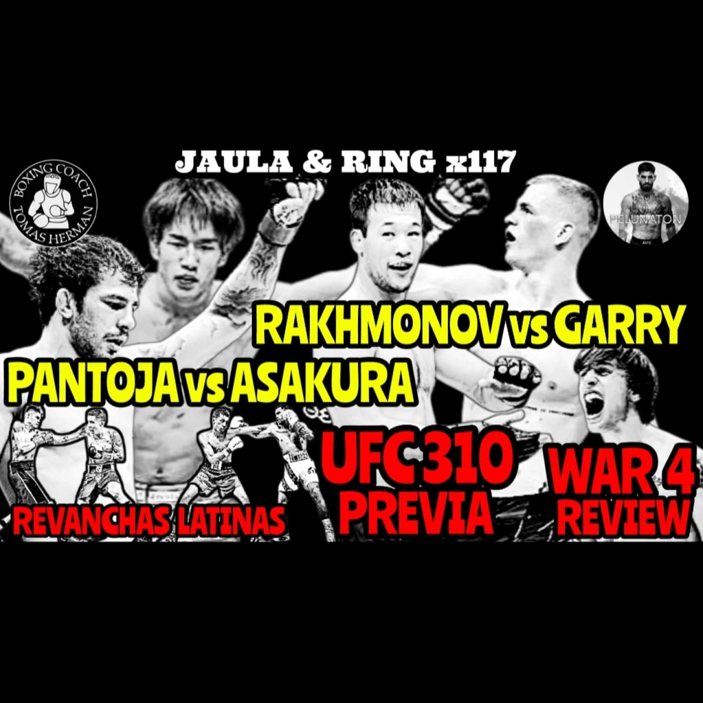 UFC 310 Previa | WAR 4 Review | Revanchas Latinas - Tomás Hermán cover