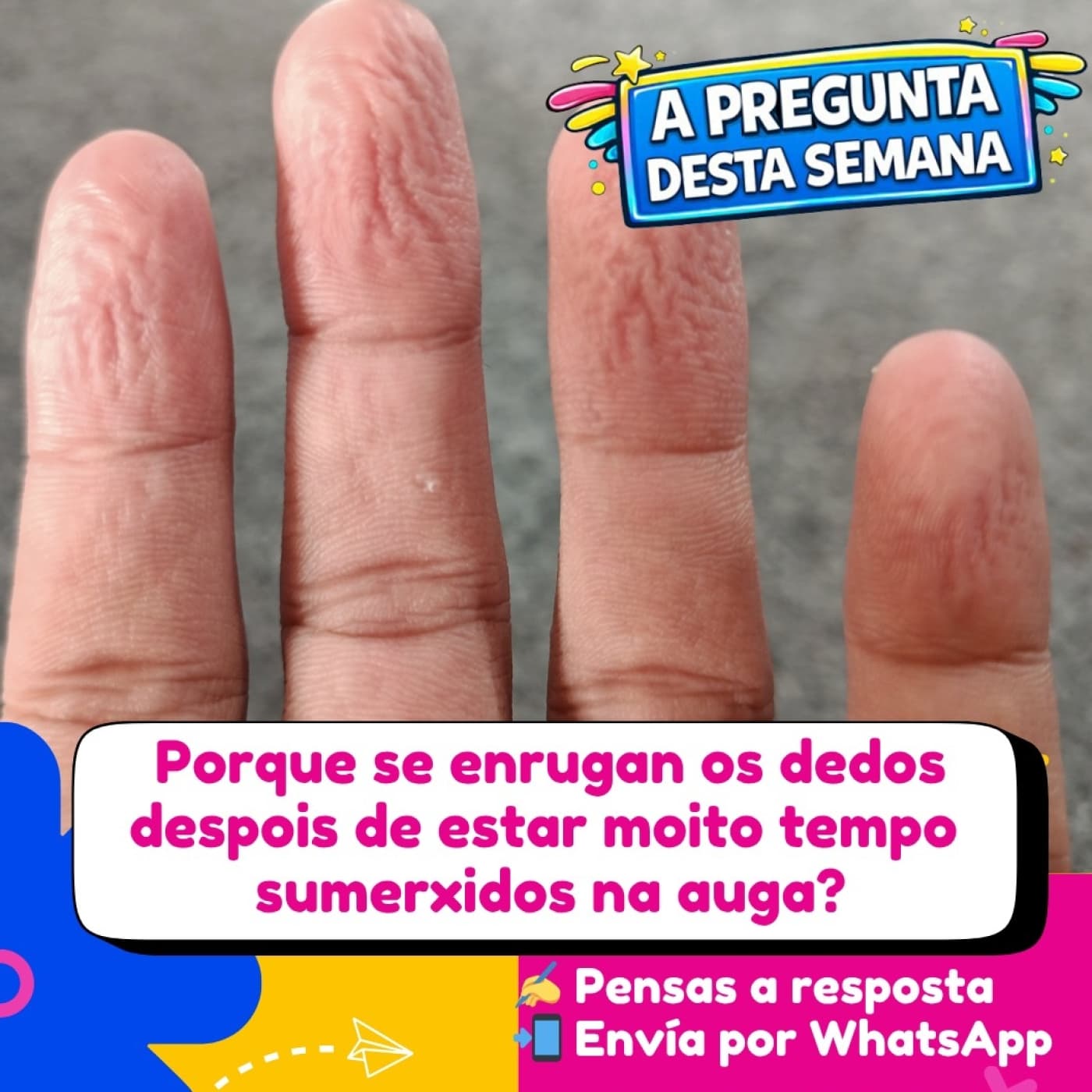 Mochila Sabedora do Salta da Cama - Salta da Cama cover