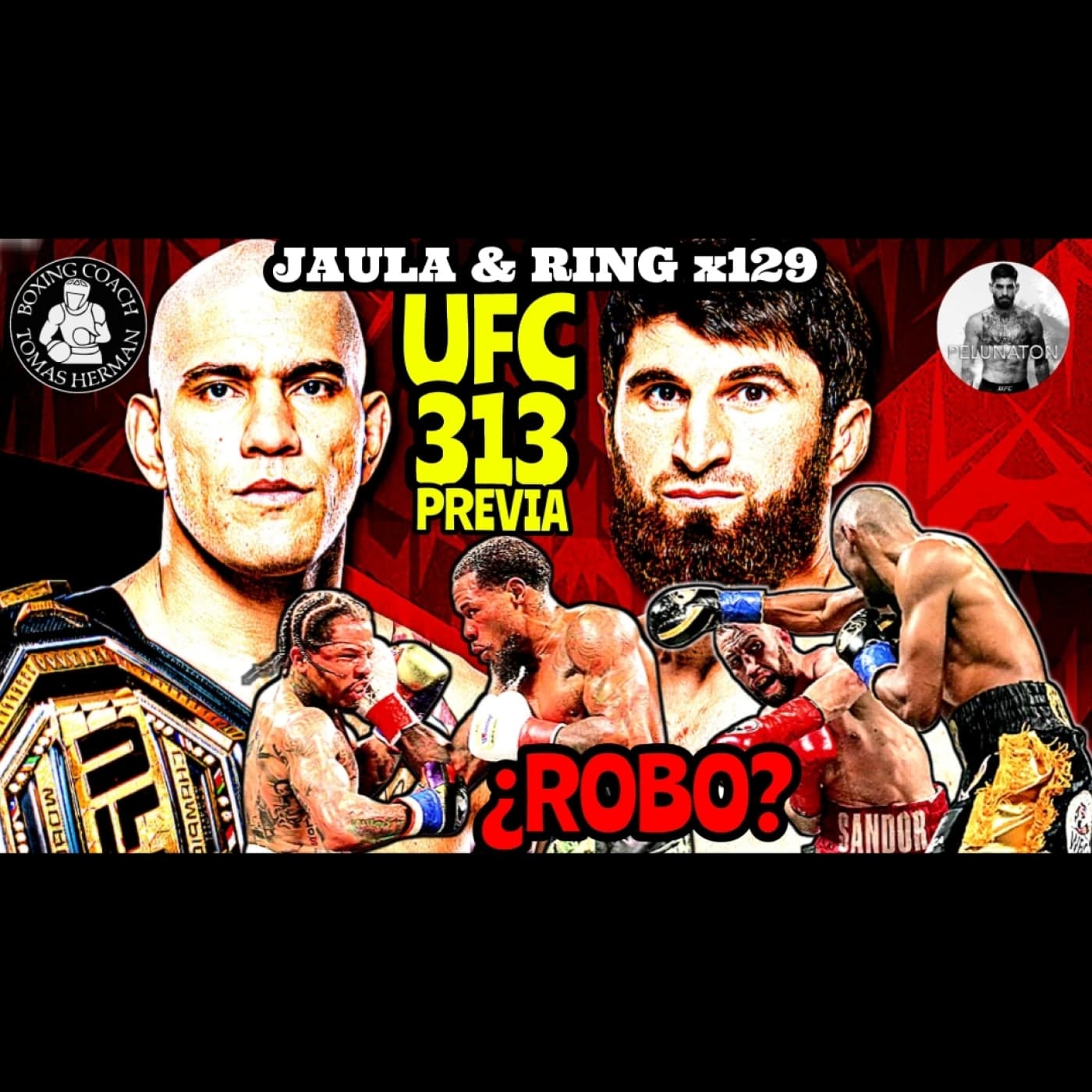 UFC 313 Previa | Polémicas Decisiones con Sandor y Gervonta - Tomás Hermán cover