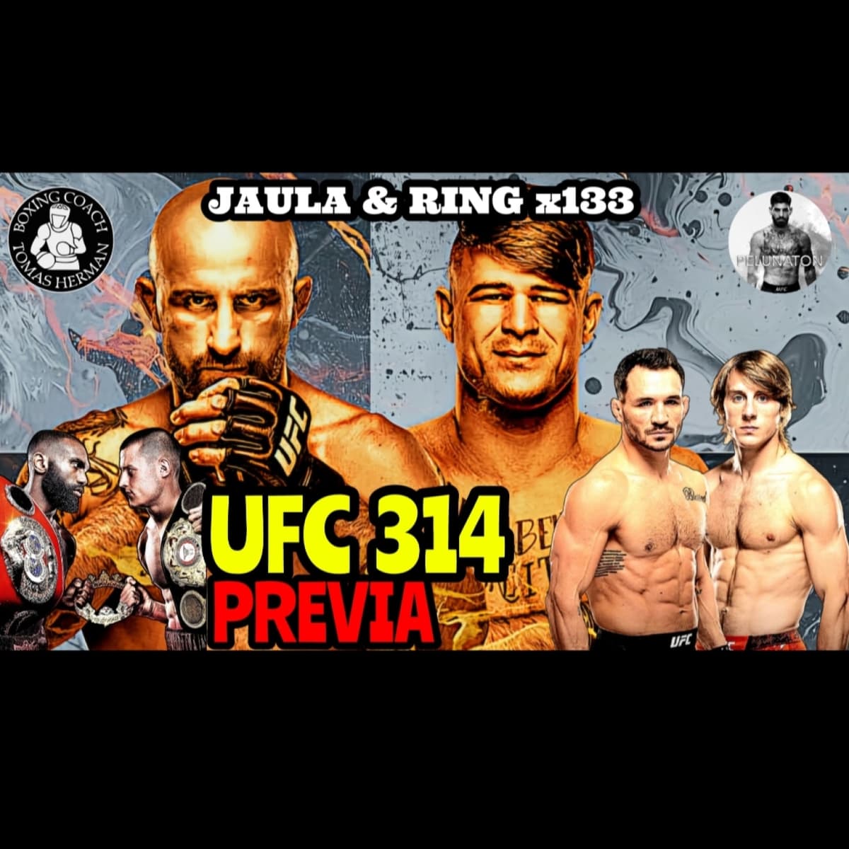 UFC 314 Previa | WAR 5 Review | Ennis vs Stanionis - Tomás Hermán cover