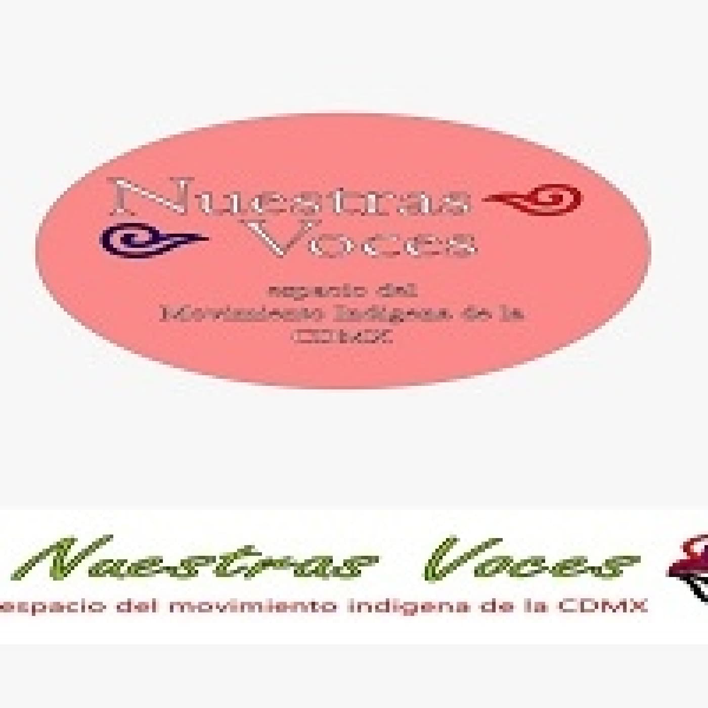 Nuestras Voces 23032026 p 391 - Proyecto Radio MX cover
