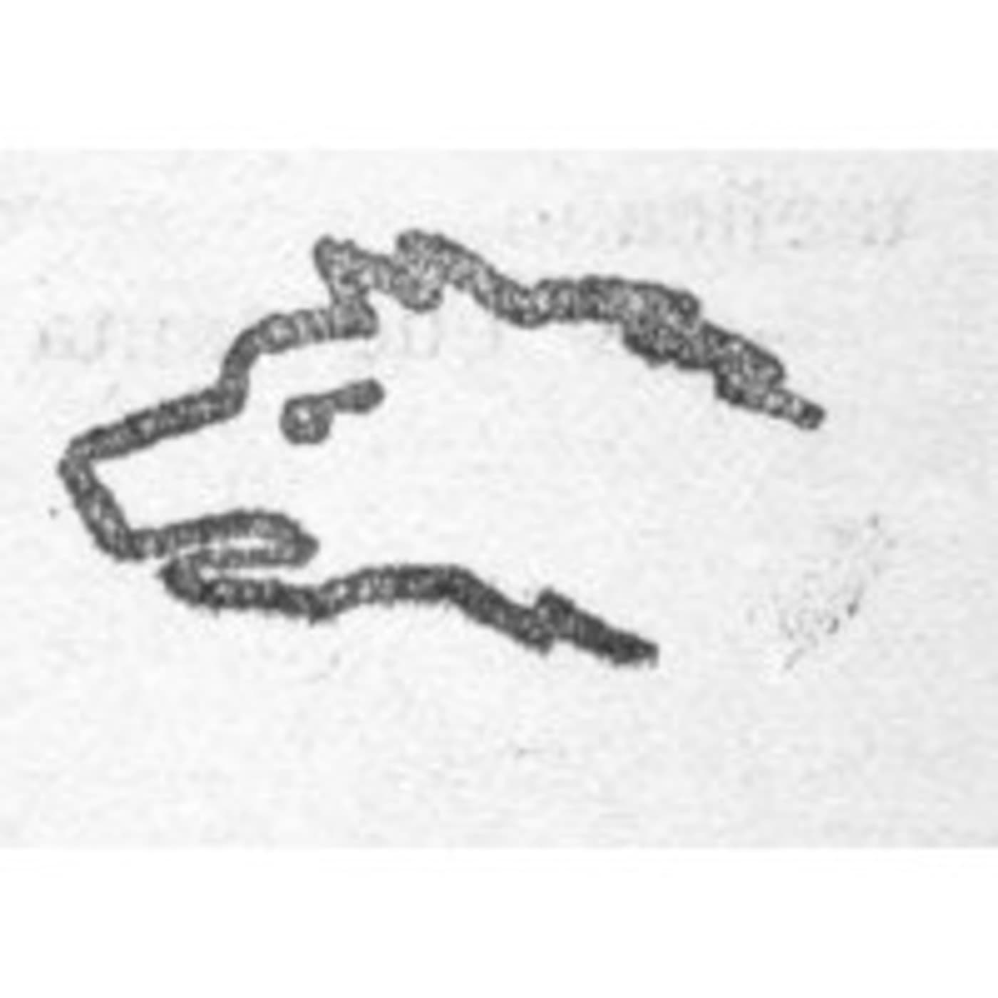 192 LOS ASESINOS LLEGAN A MONTERREY cover