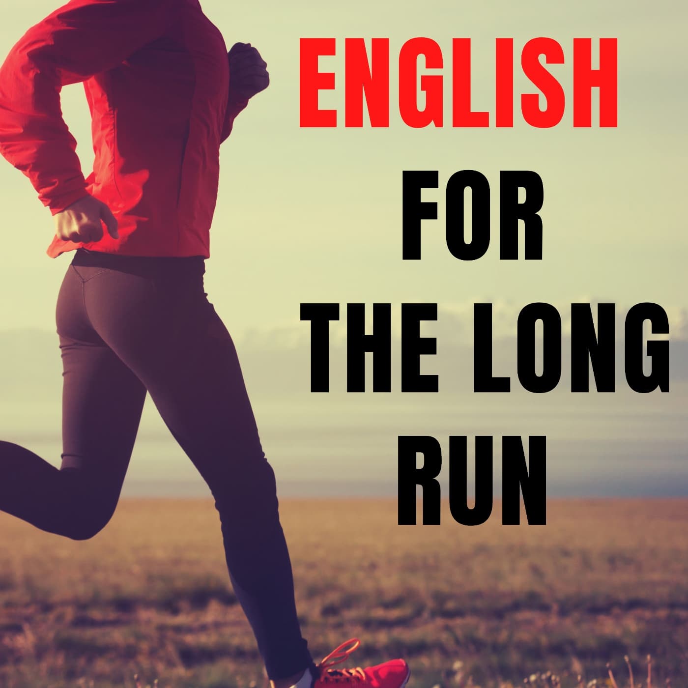 Ep 22 David Harvey about The Tunnel Ultra 2023 - English For The Long Run cover