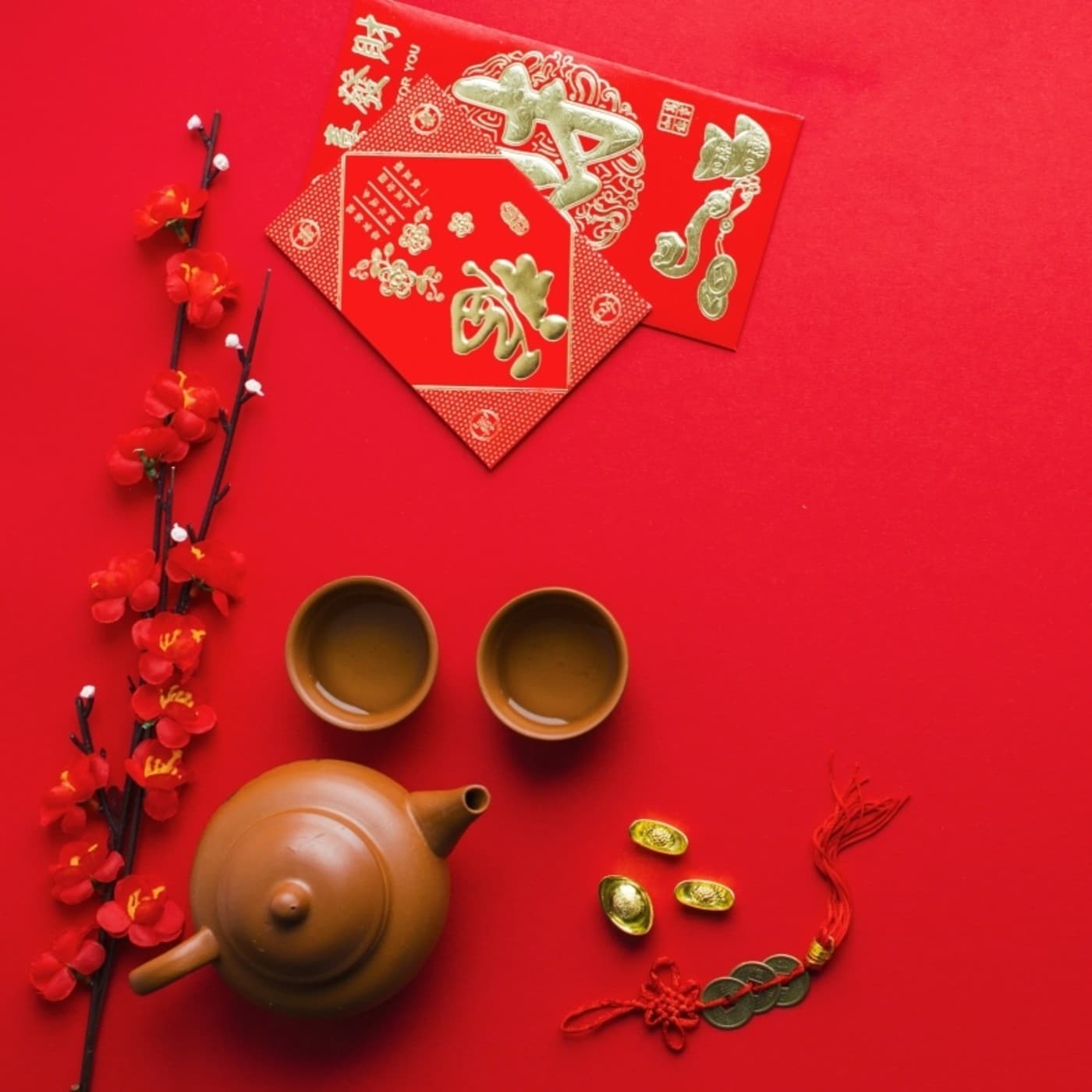 Aprenda Chino Hoy cover