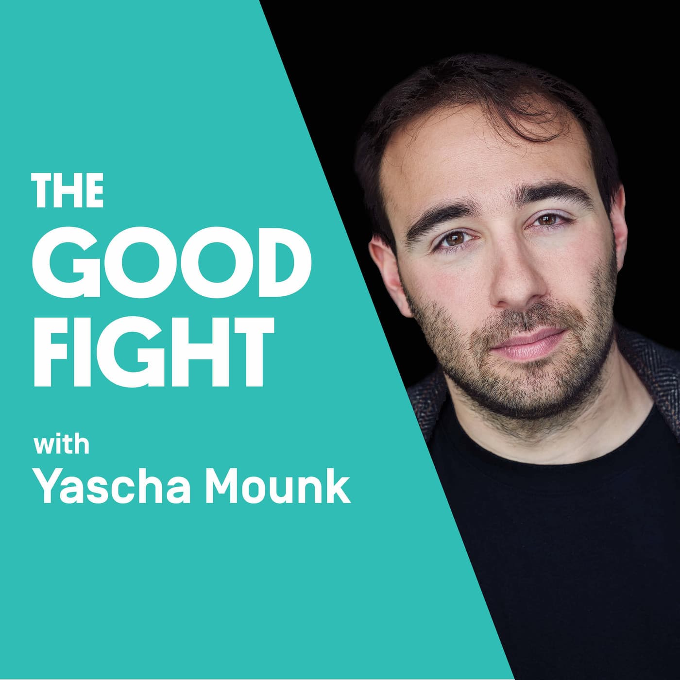 Lulu Meservey on How Media Has Changed - The Good Fight cover