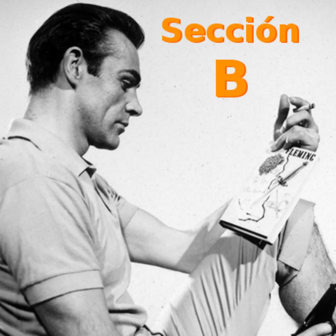 Sección B cover