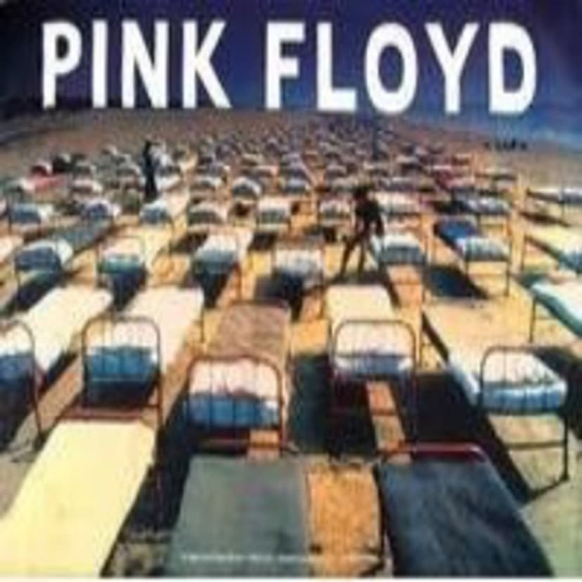 PINK FLOYD cover