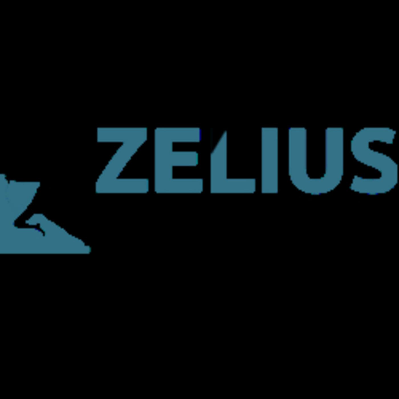 Zelius Management - Shine - Zelius Management cover
