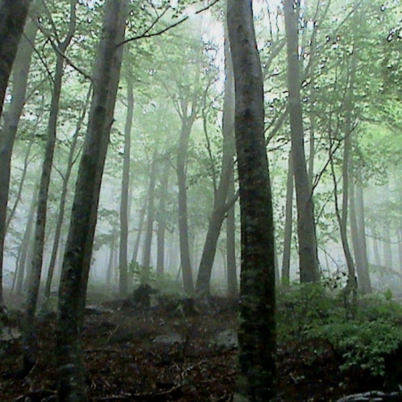 Otros mundos - jordi cover