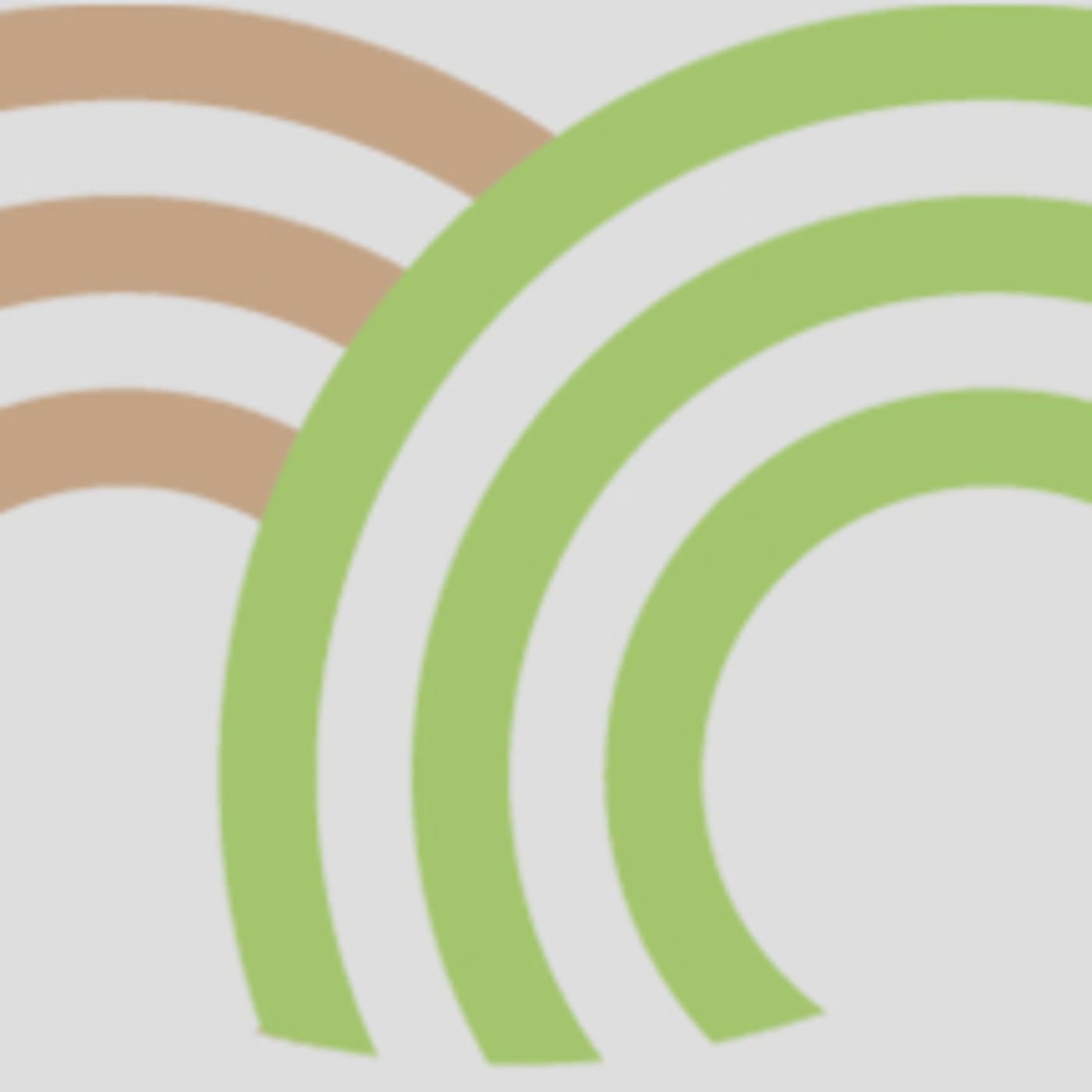 El Triz - Tierra Firme  cover