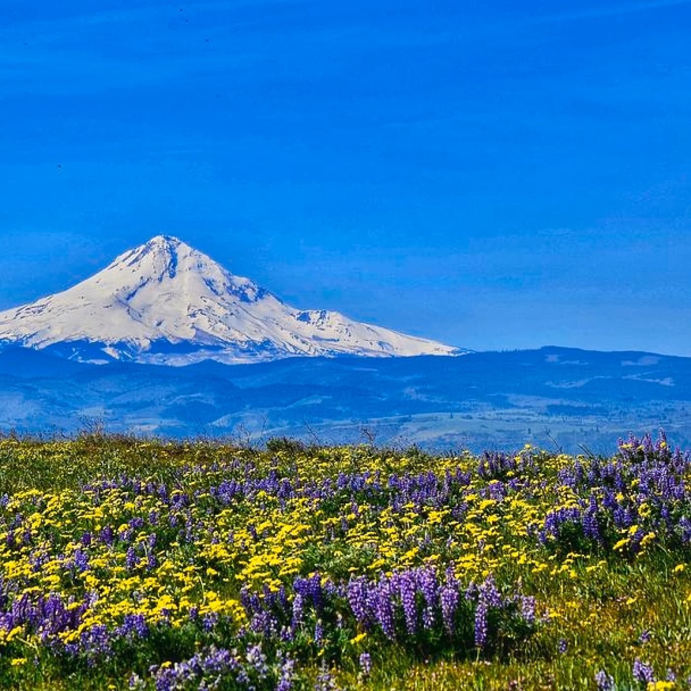 El Peso De La Gloria - CS Lewis cover