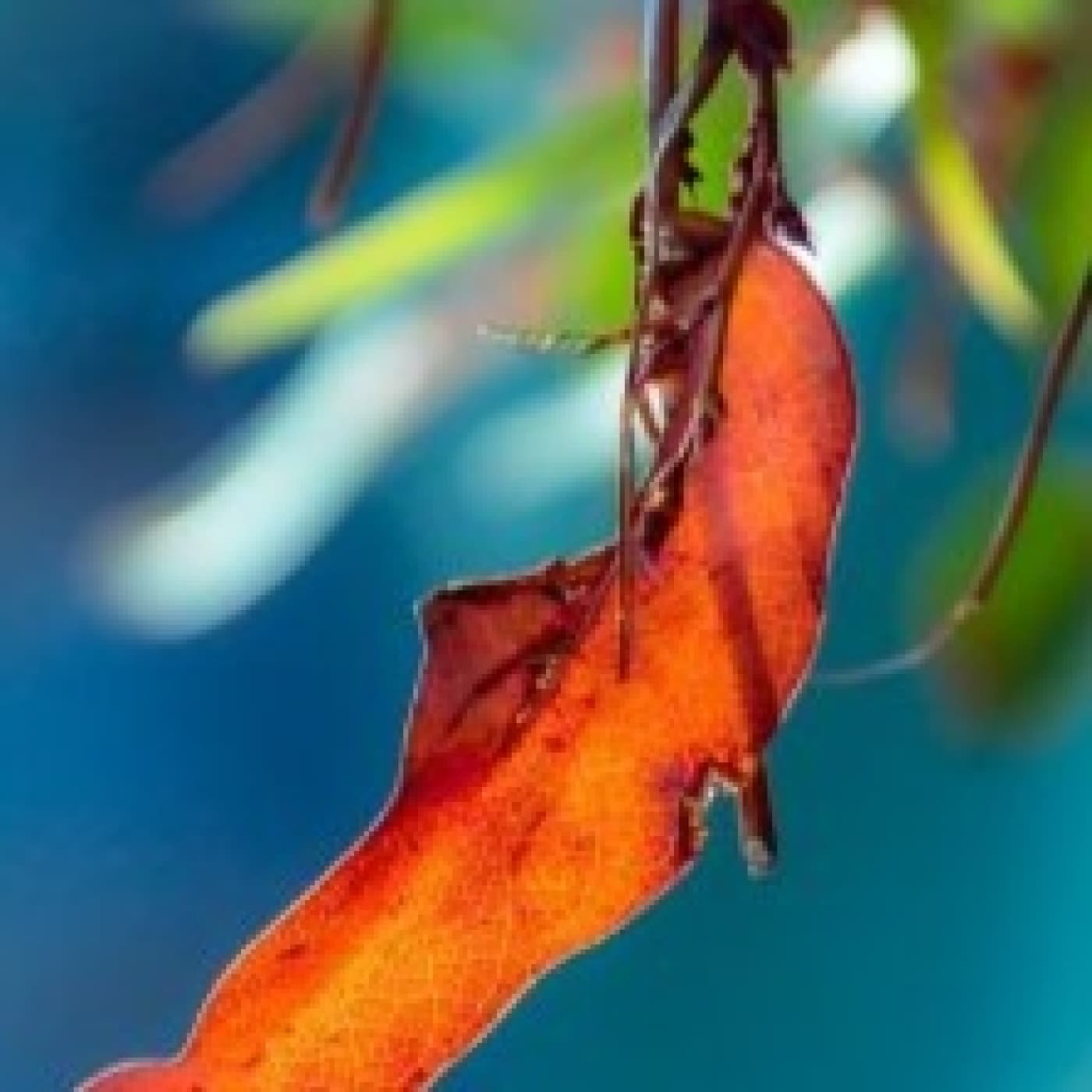 Vidas sin nombre - Angel L. Perez cover