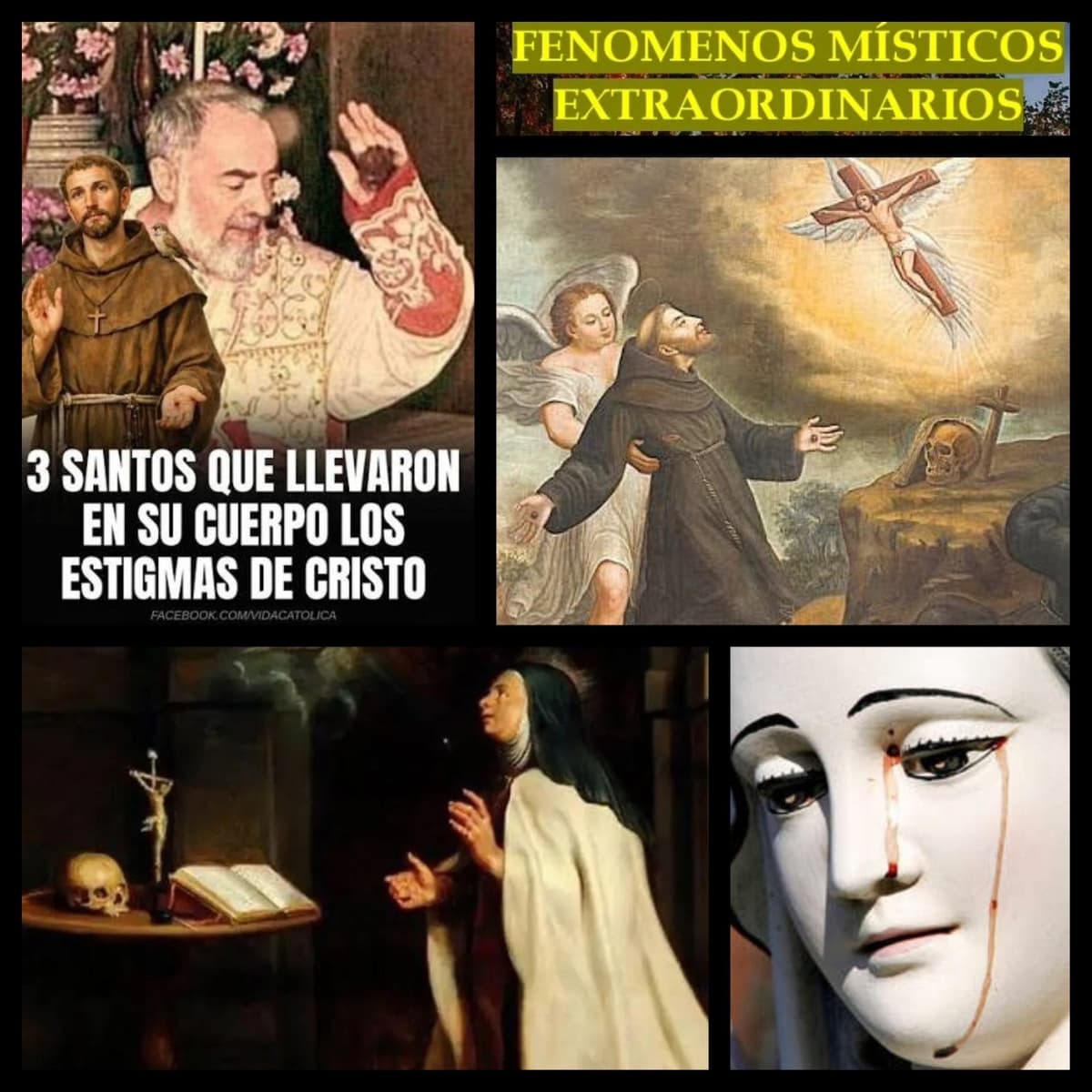 Estigmas, Bilocación, Levitación…El Fenómeno Místico. - El Centinela del Misterio cover