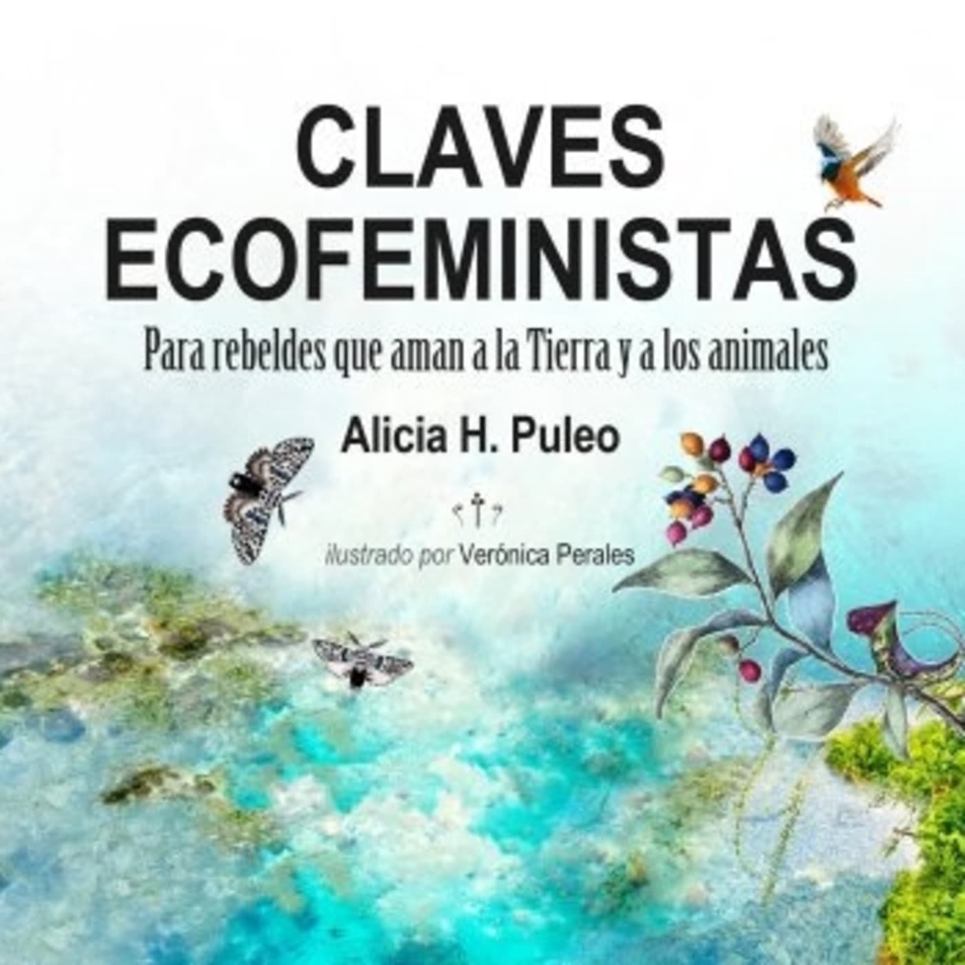 Claves Ecofeministas - RED ECOFEMINISTA cover