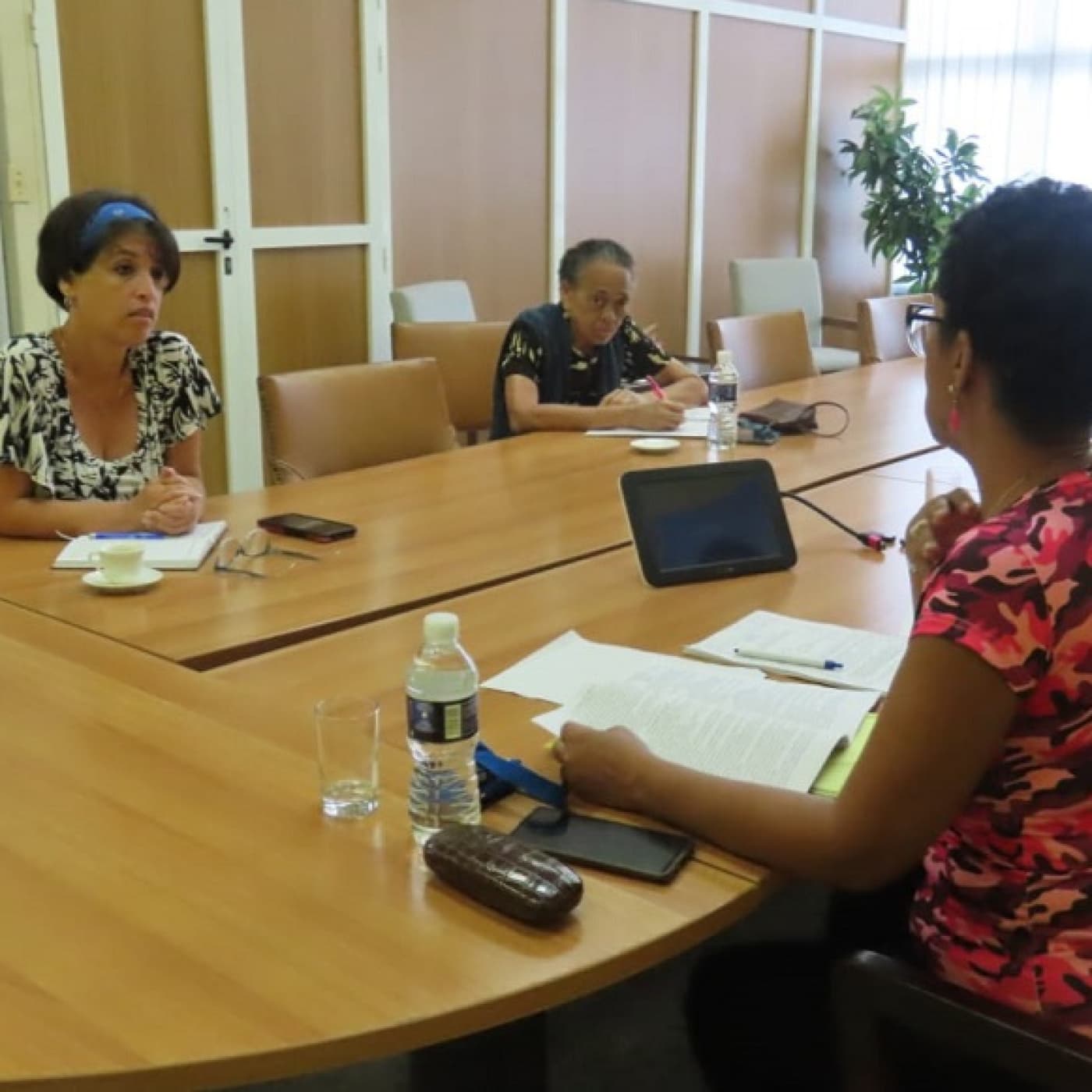 Diversifica y flexibiliza Cuba su tejido empresarial - Radio Rebelde cover