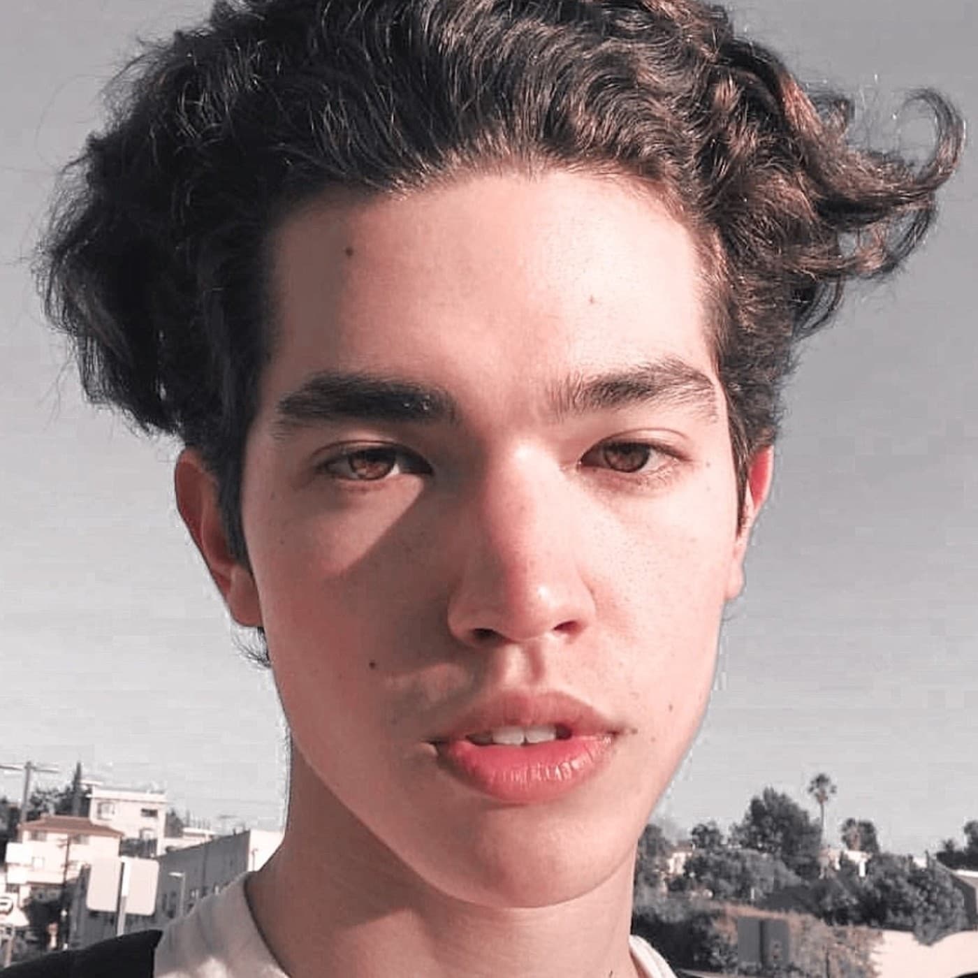 fight or flight (slowed) - CONAN GRAY SLOWED cover